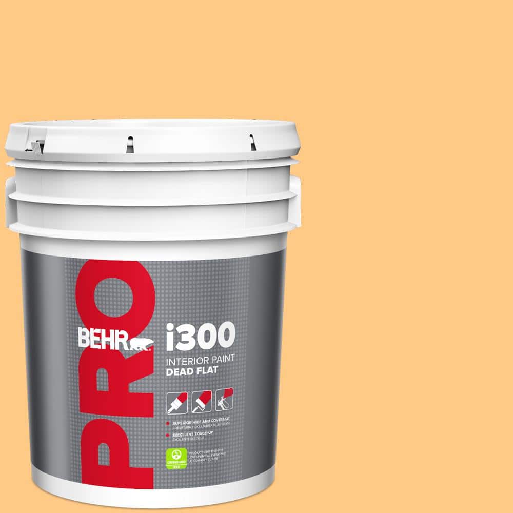 BEHR PRO 5 gal. 290B5 Torchlight Dead Flat Interior Paint PR31005