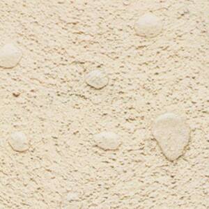 5 gal. #MS-41 Sandstone Beige Flat Interior/Exterior Masonry, Stucco and Brick Paint