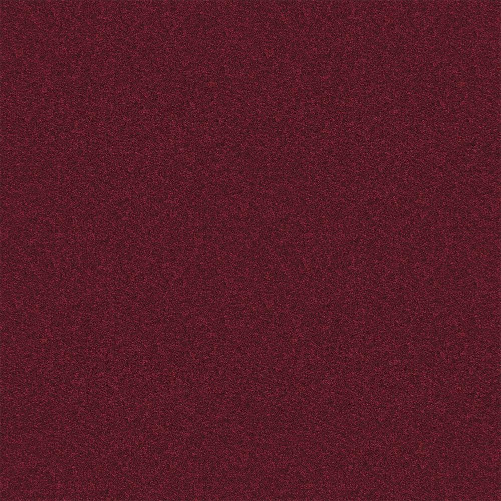 TrafficMaster Alpine - Romance - Red 17.3 oz. Polyester Texture Installed  Carpet HDD8585803 - The Home Depot