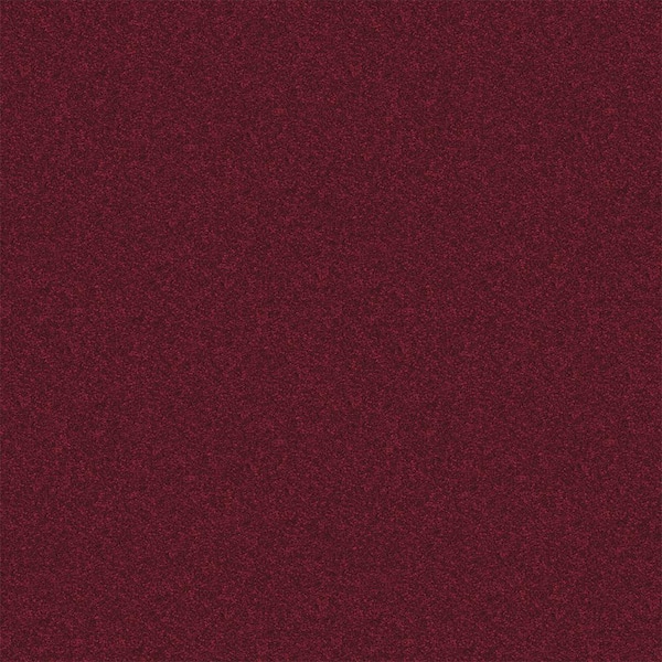 TrafficMaster Alpine - Romance - Red 17.3 oz. Polyester Texture Installed Carpet