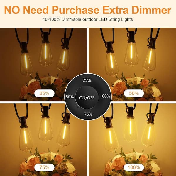 Best Alexa Controlled Extra Long String Lights: Ultimate Brightness Guide
