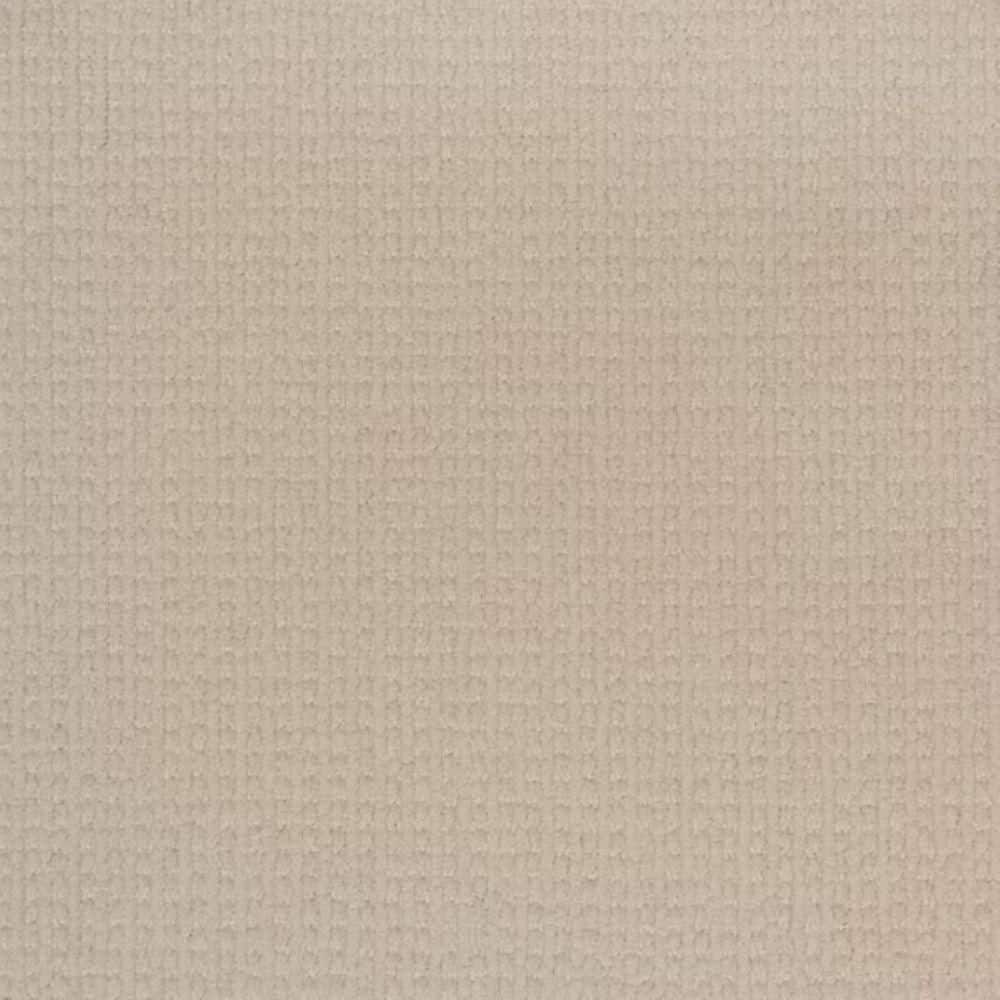 8 in. x 8 in. Pattern Carpet Sample-Charming Confections-Color Linen price history on PriceWatchPro