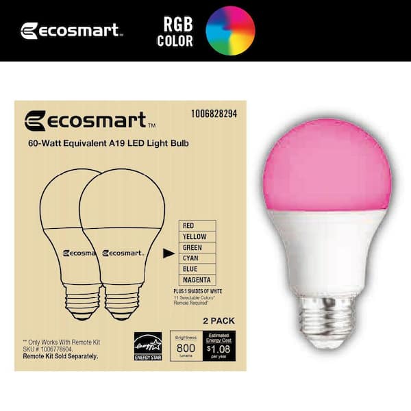 60-Watt Equivalent A19 E26 Base CEC Color Changing LED Light Bulb (2-Pack)