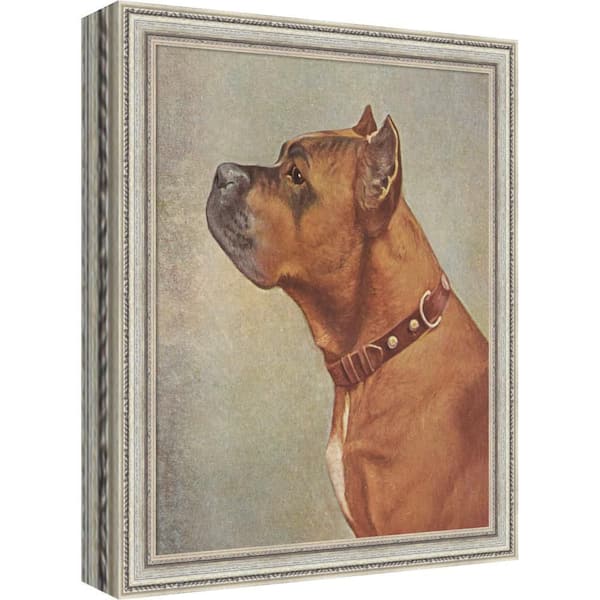 Cordelia "Boxer Dog 20th Century" by Nostalgia Prints Dogs Framed Art Print 11 in. x 9 in.