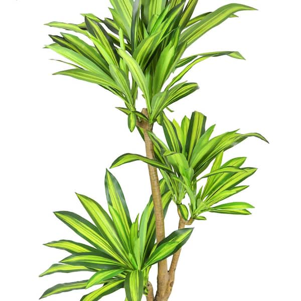 6 ft. Real Touch Artificial Dracaena Tree Plant in Pot