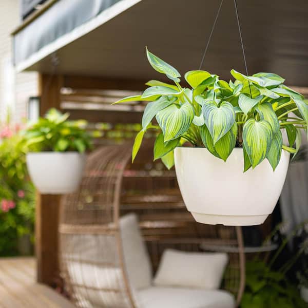 Mayne Caprio 14 in. Dia White Resin Self Watering Hanging Planter