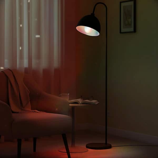 EcoSmart 60-Watt Equivalent Smart G30 Dynamic Color Changing CEC