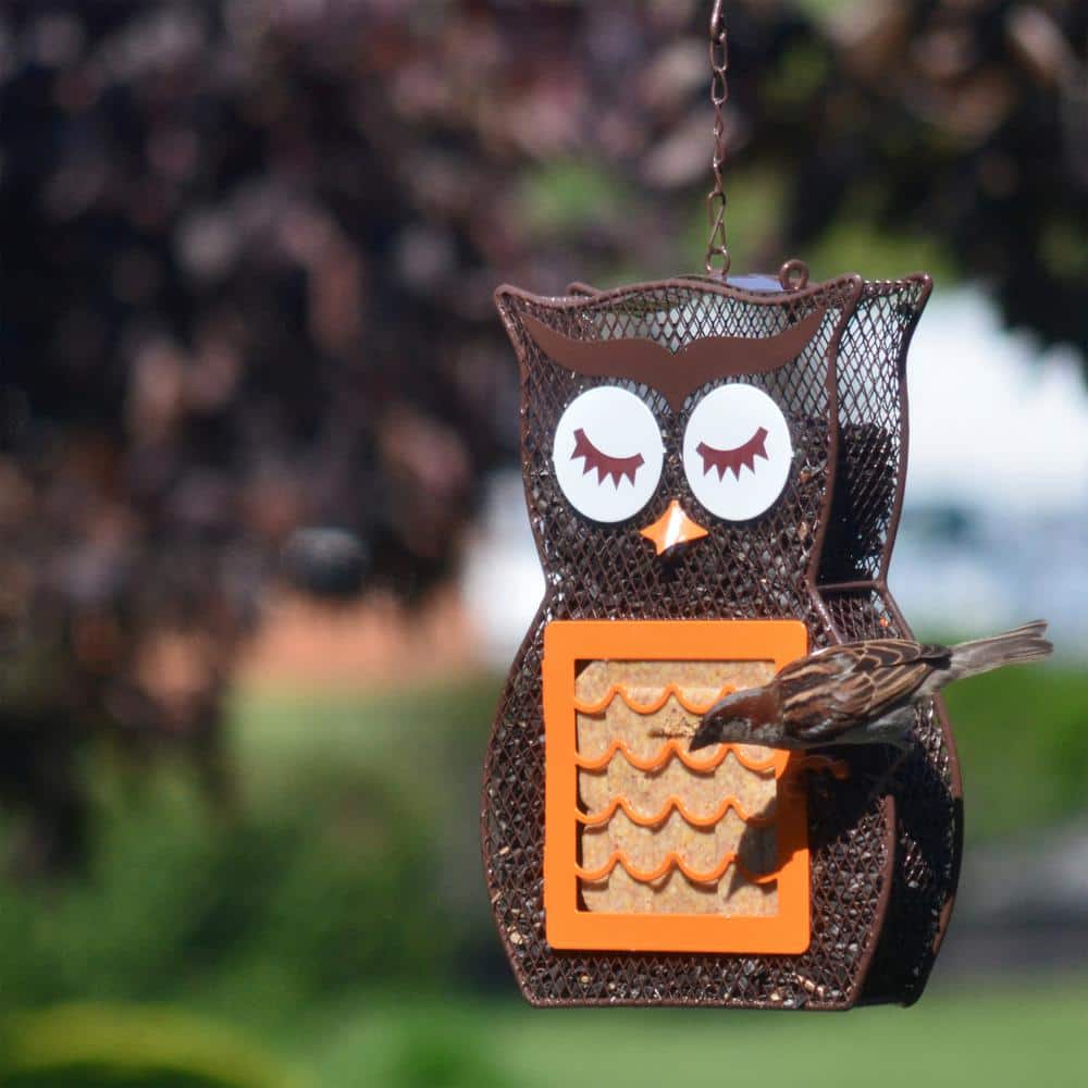 Whimsical Owl Brown Metal Hanging Suet Cage with Hook