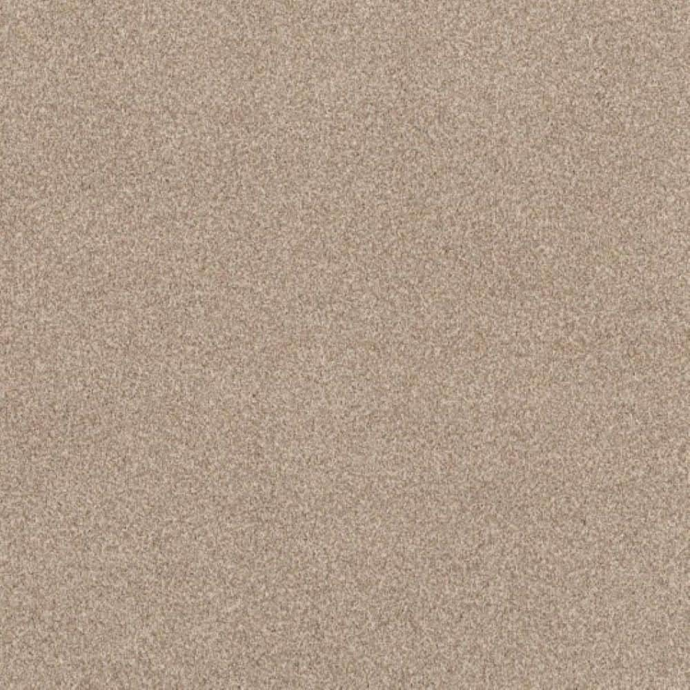 Lifeproof 8 in. x 8 in. Texture Carpet Sample - Urban Artifact I ...