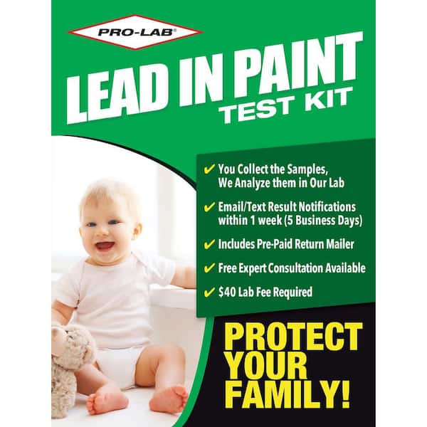 Lead Paint and Dust Test Kit