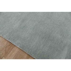 Arizona 9 ft. X 12 ft. Gray/Blue Solid Color Area Rug