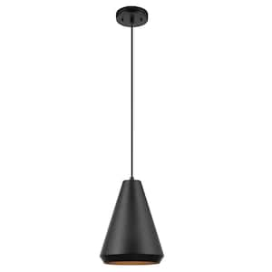 Harvey 1-Light Matte Black Pendant Lighting