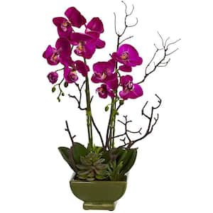 Artificial Orchid and Succulent Arrangement