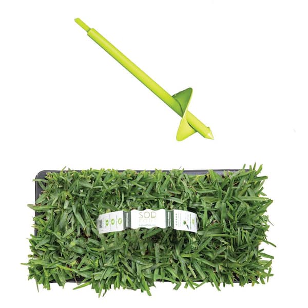 Sod Pods St Augustine Palmetto Sod/Grass Plugs 32-Count/SP Power Planter Bundle - Natural, Affordable Lawn Improvement