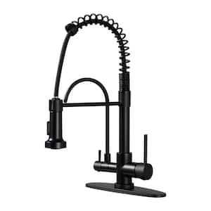 Double Handles Solid Brass Pull Down Sprayer Kitchen Faucet with Drinking Water Filter in Matte Black