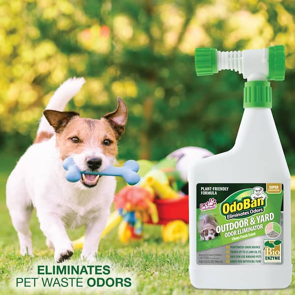 Multi Purpose Cleaner Pet Odor Eliminator - PH Neutral - Strong Odor Floor Cleaner - Pet Odor Eliminator for Home - Best Scent Remover for Cat and