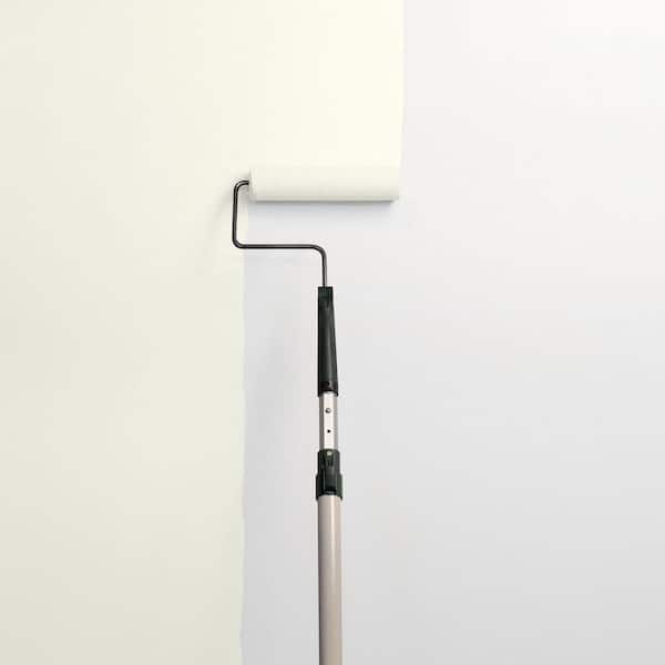 Ageless PPG1123-1 Paint