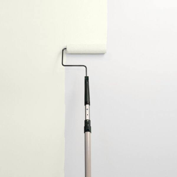 Ageless PPG1123-1 Paint