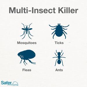 Safer Brand Safer Home Insect Control Solutions - The Home Depot