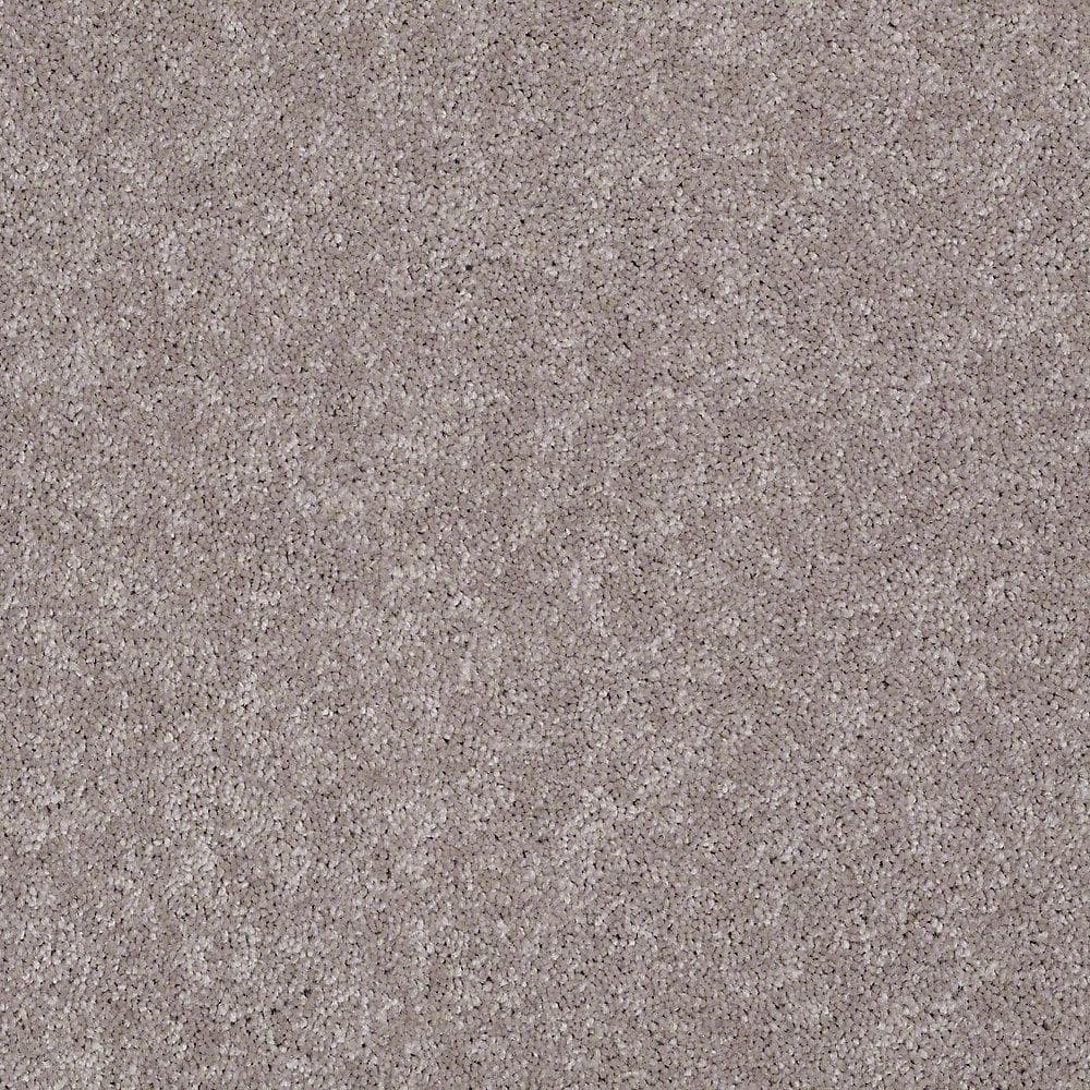8 in. x 8 in. Texture Carpet Sample - Brave Soul I - Color Tapestry price history on PriceWatchPro