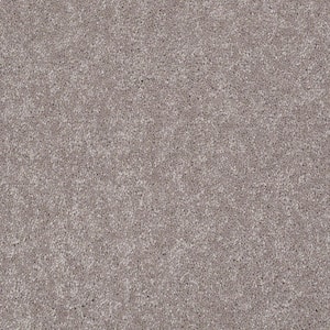 Brave Soul I - Tapestry - Brown 34.7 oz. Polyester Texture Installed Carpet