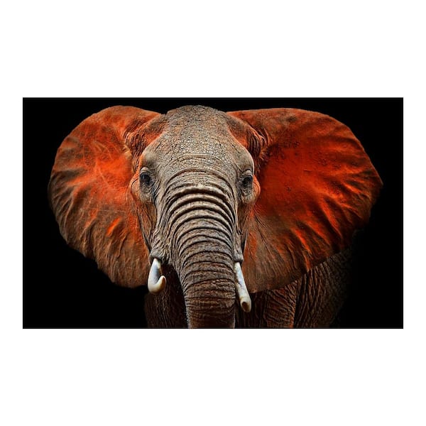 Yosemite Home Decor 36 in. x 60 in. "Loxodanta" Tempered Glass Wall Art