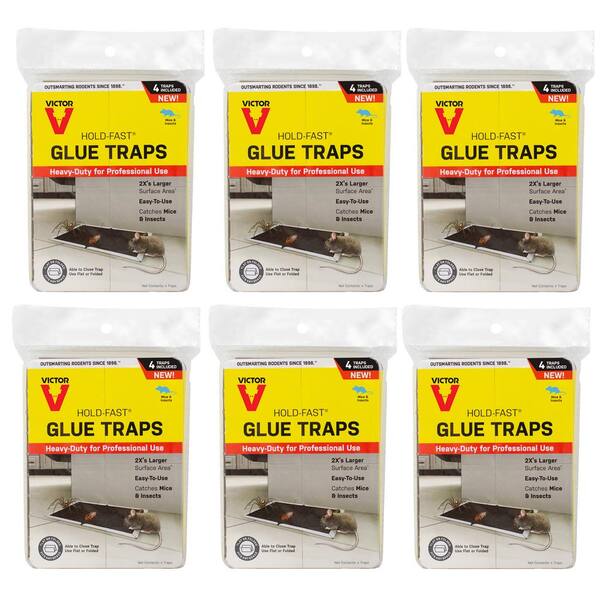 Victor Hold-Fast Disposable Mouse and Insect Glue Board Traps (24-Count)