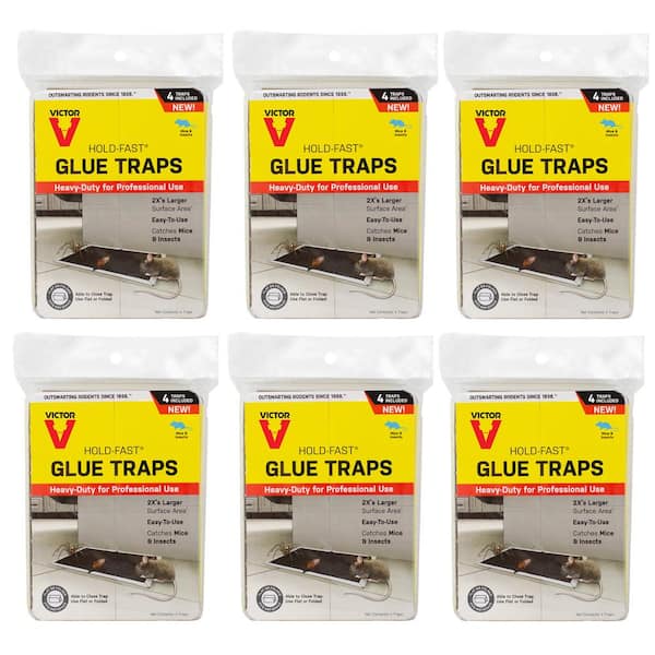 Victor Hold-Fast Disposable Heavy-Duty for Professional Use Glue Board Traps- Mice and Insects (24-Count)