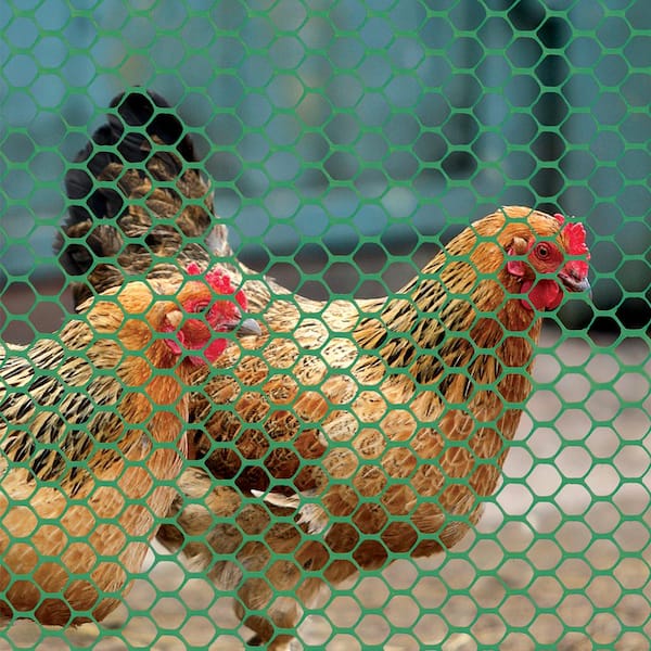 chicken netting DIY Chicken Wire Plastic Mesh Fence Plastic Netting Plastic