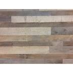 BARNLINE 3/8 In. T X 6 In. W Premium Reclaimed Weathered Barn Wood ...