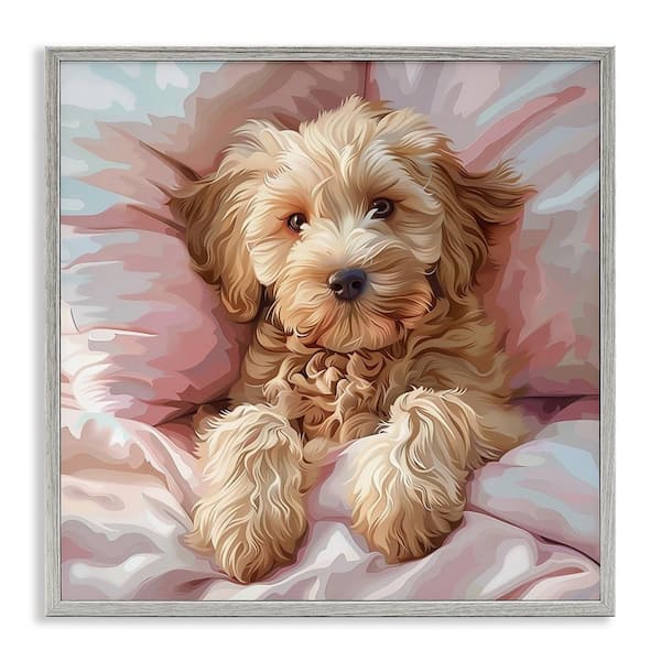 Stupell Industries Cuddling Labradoodle Bed by Jim Baldwin Gray Framed Animal Giclee Art Print 12 in. x 12 in.