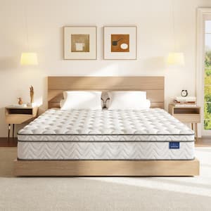 Euro Top Series Queen Medium Hybrid 10 in. Bed-in-a-Box Mattress