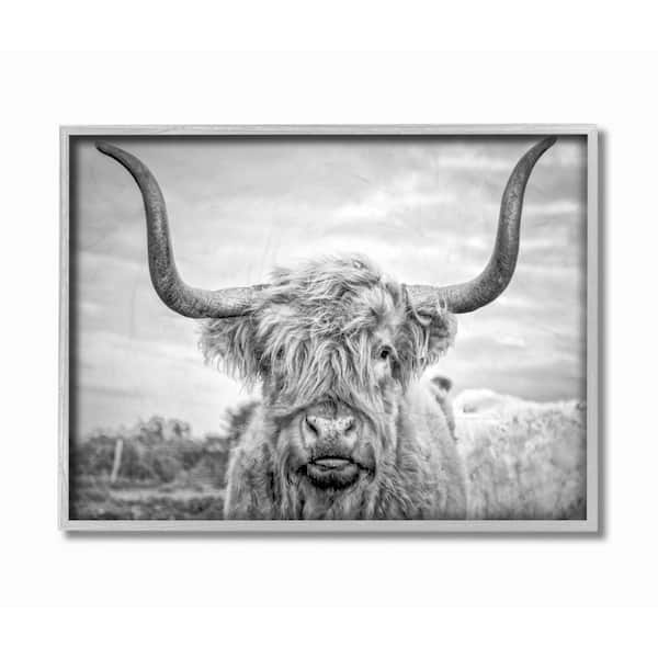 Stupell Industries 16 in. x 20 in. "Black and White Highland Cow Photograph" by Joe Reynolds Framed Wall Art