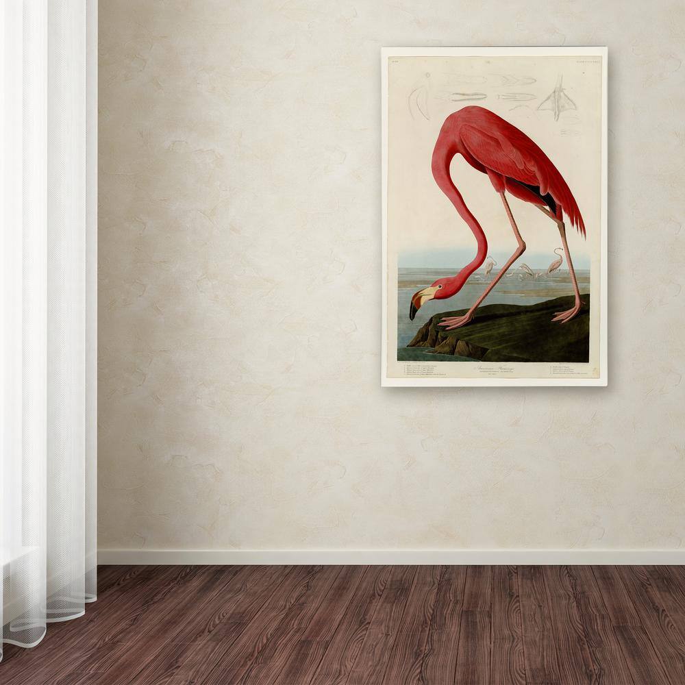 American Flamingo Print on Canvas in Red and Beige, 22"x32"
