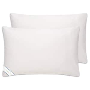 Soft Down Alternative Standard Pillow (Set of 2)