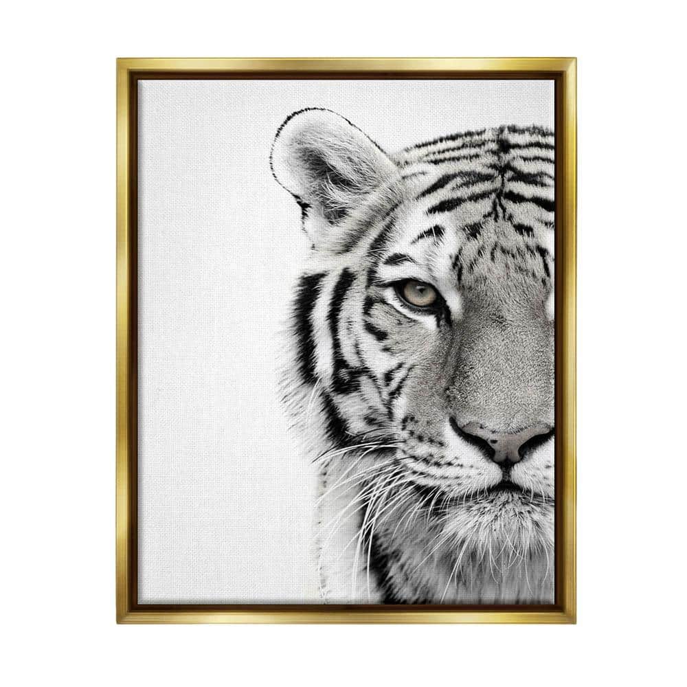 White Tiger Close Up Black and White Photography by Design Fabrikken Floater Frame Animal Wall Art Print 31 in. x 25 in. price history on PriceWatchPro