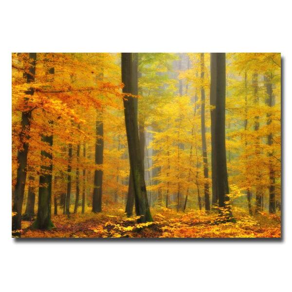 Trademark Fine Art 22 in. x 32 in. Orton Forest Canvas Art-DISCONTINUED