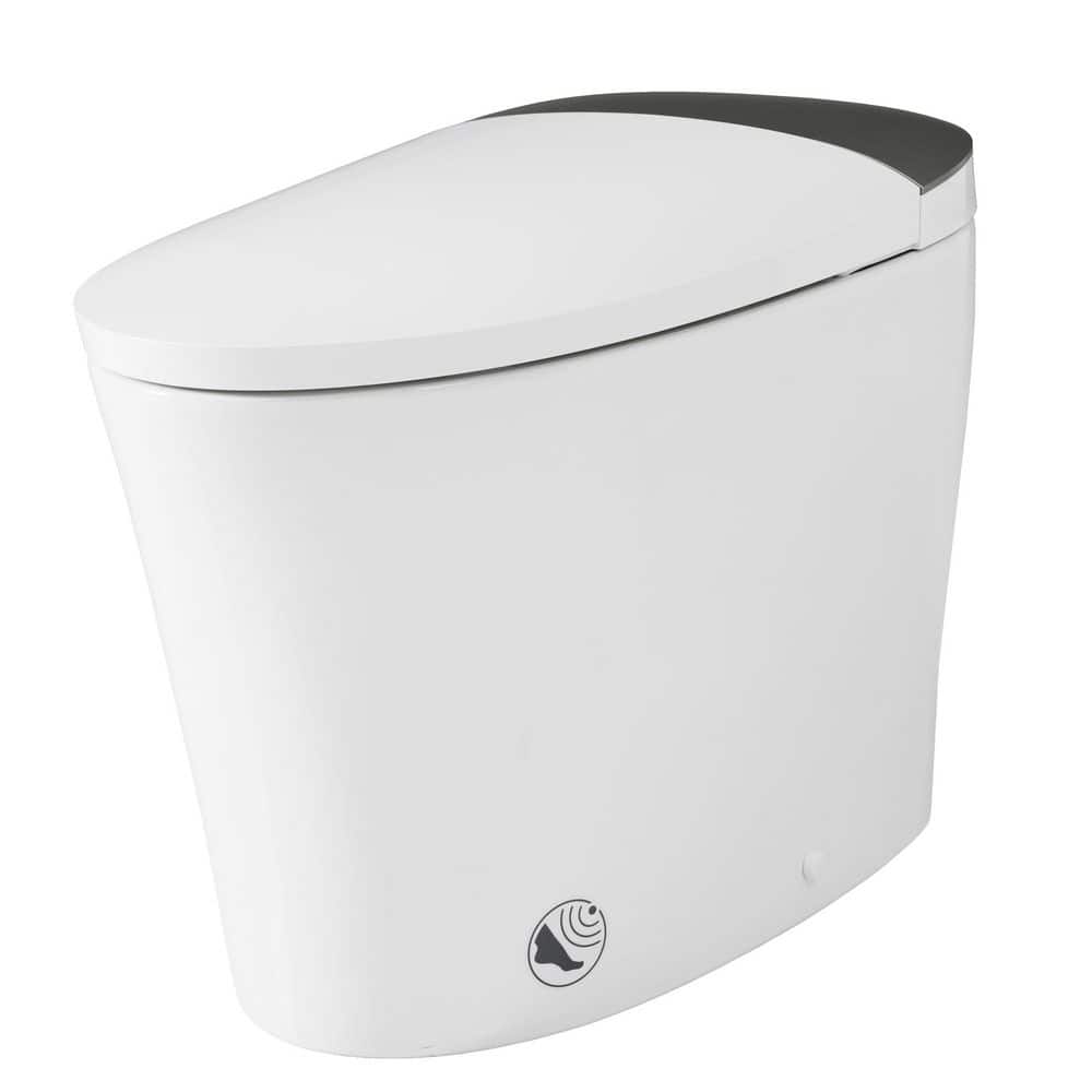 Elongated Dual-Flush 1.1/1.6 GPF Smart Toilet with Bidet and Warm Water/Dryer and Night Light in White price history on PriceWatchPro