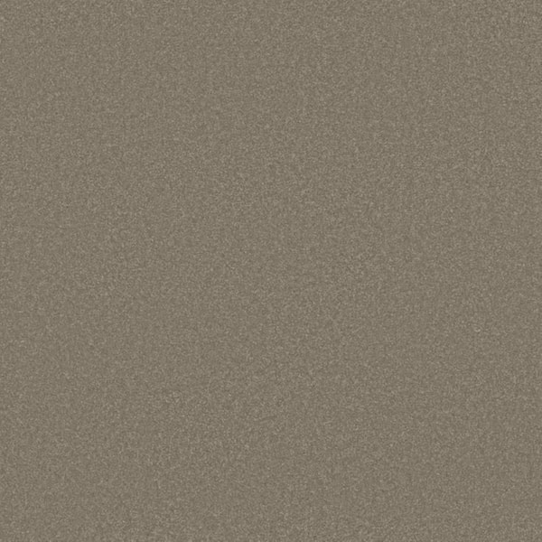 8 in. x 8 in. Texture Carpet Sample-Park Royal I-Color City Scape