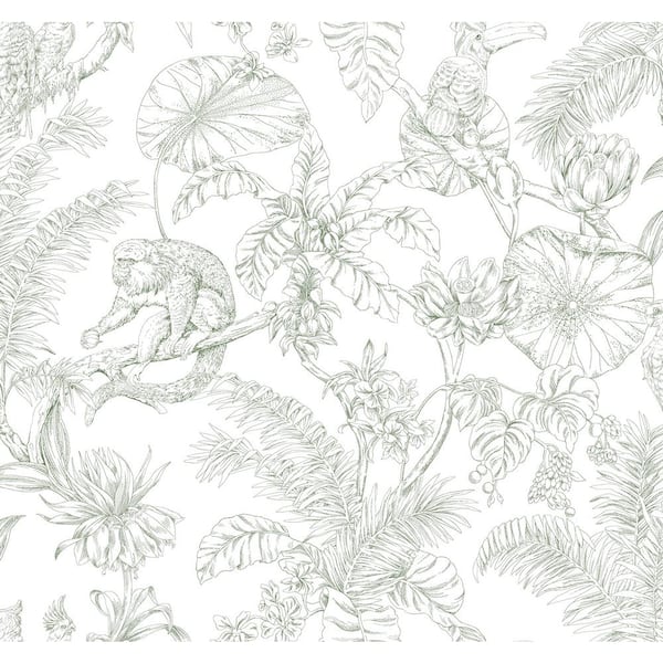 York Wallcoverings Tropical Sketch Toile Forest Wallpaper Roll