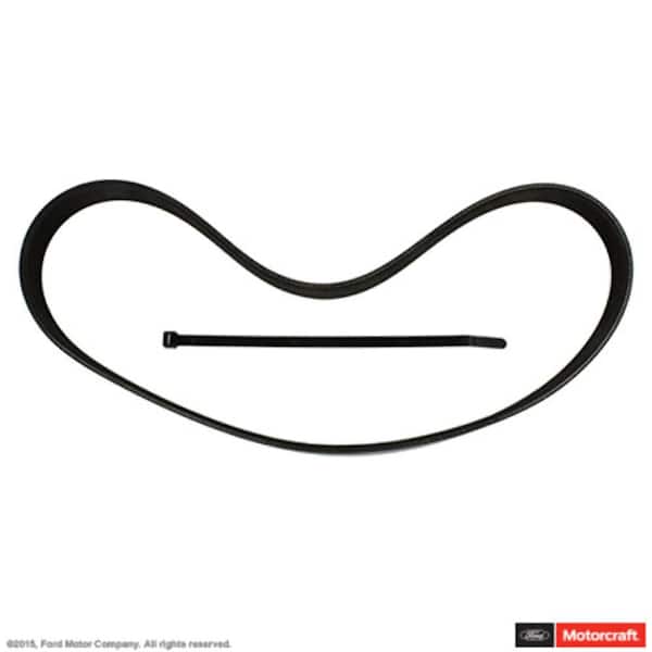 Serpentine Belt