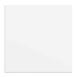 White 2 ft. x 2 ft. PVC Smooth Lay-in Ceiling Tile (48 sq.ft./case)