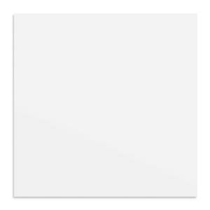 White 2 ft. x 2 ft. PVC Smooth Lay-in Ceiling Tile (48 sq.ft./case)