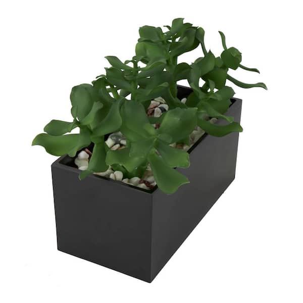 Litton Lane 7 in. H Artificial Succulent Plant with Black Melamine Pot