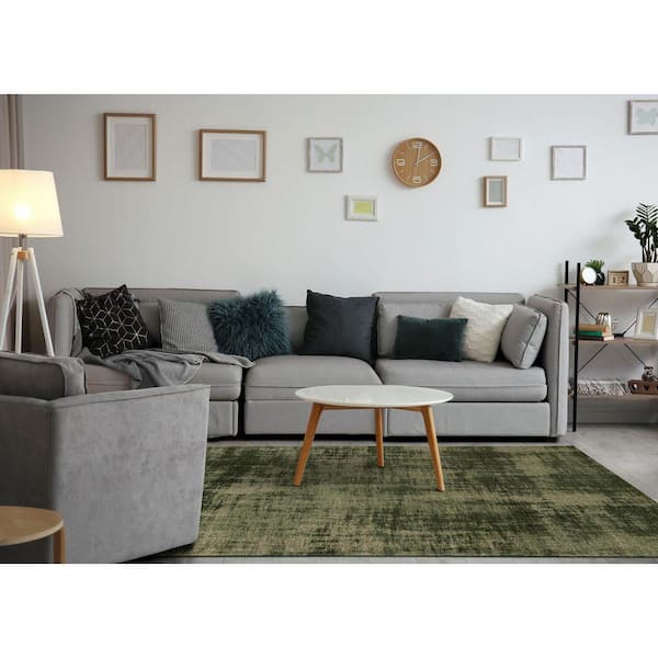 Lirien Collections 5 ft. x 8 ft. Green Organic Indoor Area Rug