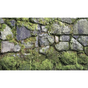 Moss View - Weather Proof Scene for Window Wells or Wall Mural - 120 in. x 60 in