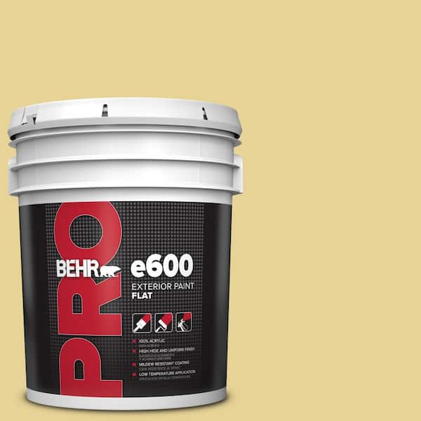 BEHR PRO 5 gal. #390D-4 Honey Beige Flat Exterior Paint