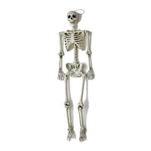 60 in. Halloween Life Size Hanging Skeleton