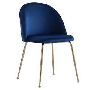 Miramar Blue Velvet Metal Dining Chairs (Set of 2)