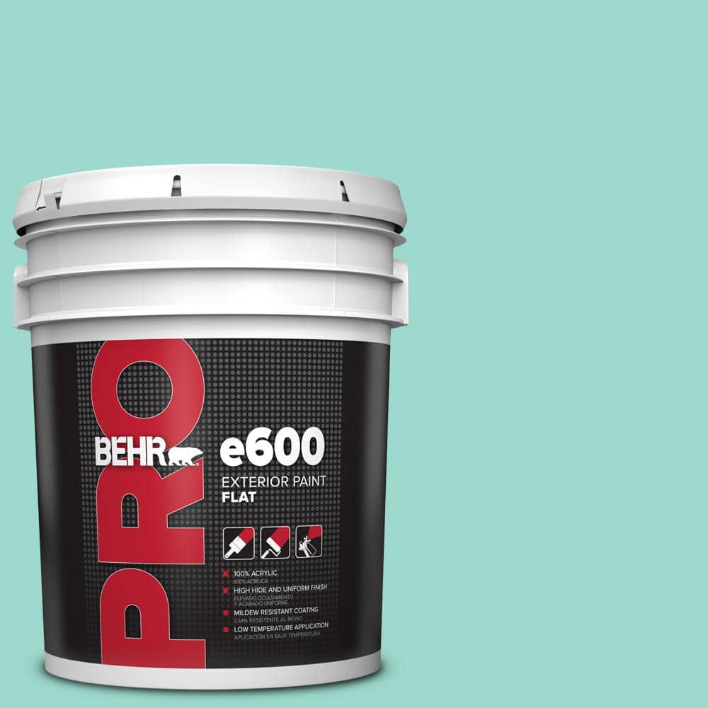 5 gal. #P440-3 Fish Pond Exterior Flat Paint price history on PriceWatchPro